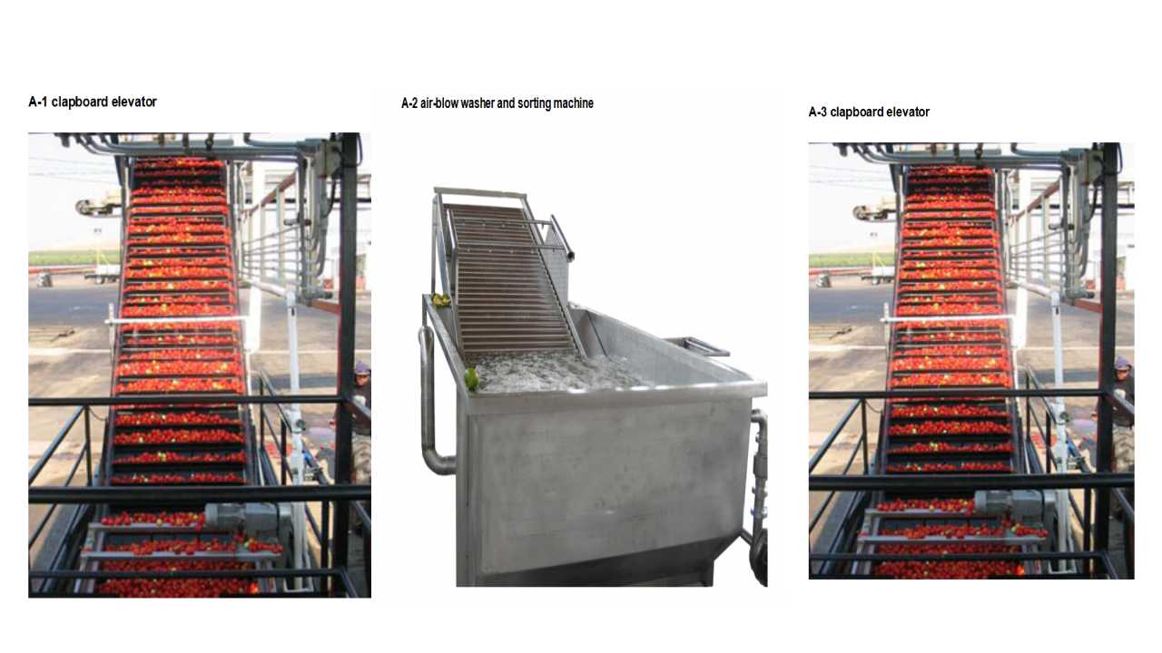 Tomato Paste Processing Line