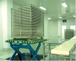 Water Shower Sterilizer